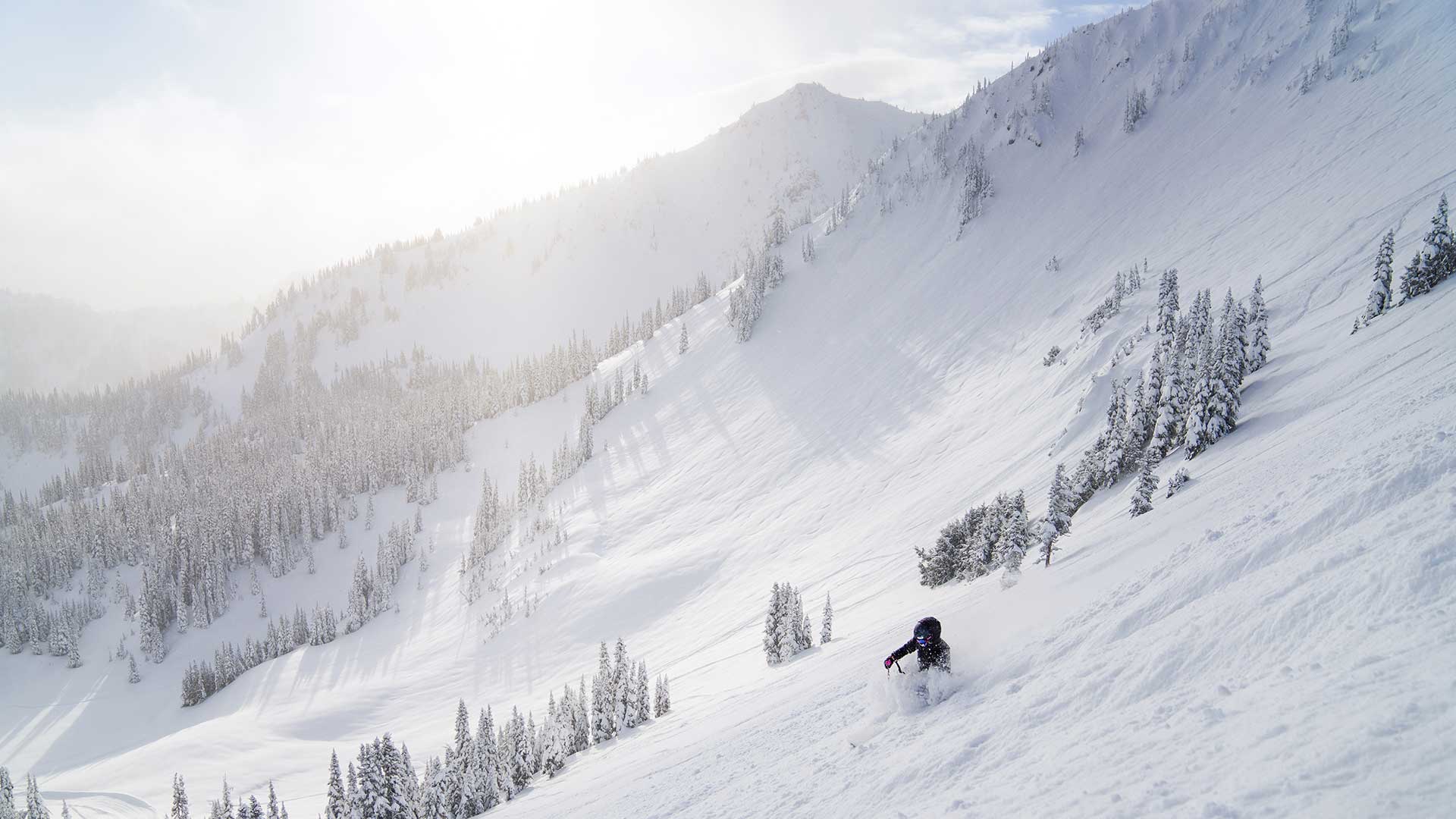 Big mountain powder shot