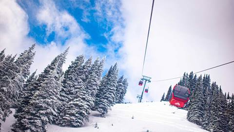 Gondola Cabin View