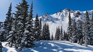 Snowy terrain at Crystal