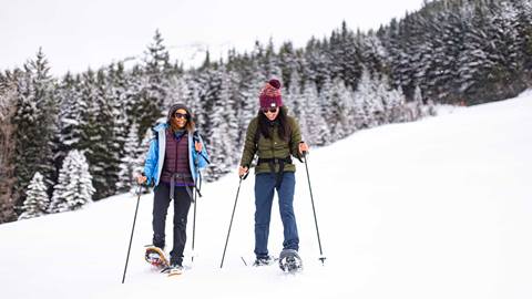 Couple snowshoeing