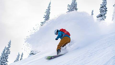 Snowboarder in powder