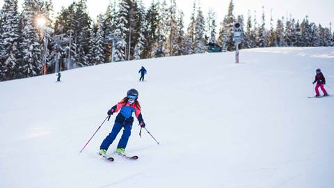 Skier at Crystal