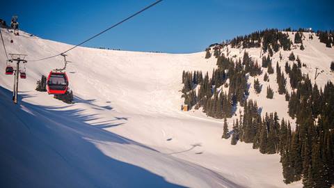 Gondola and Green Valley