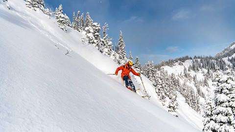 Backcountry Skier at Crystal