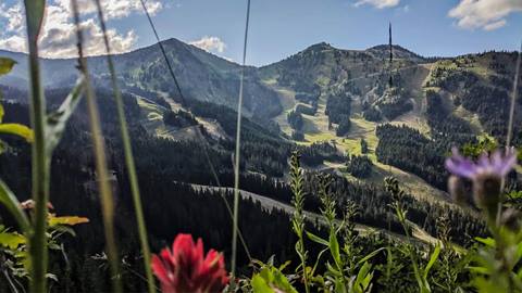 Crystal Mountain from Gold hills